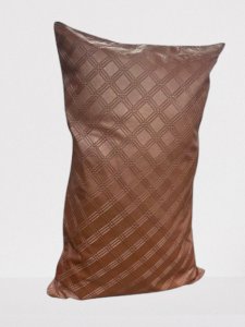 Pillow with macintosh cover 